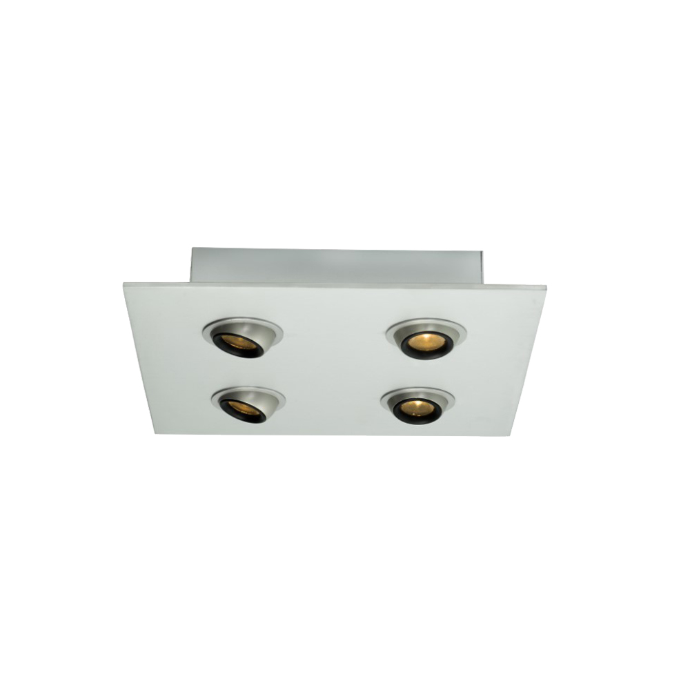 Plafondlamp-Cameleon-quattro-aluminium2-4x2W.jpg